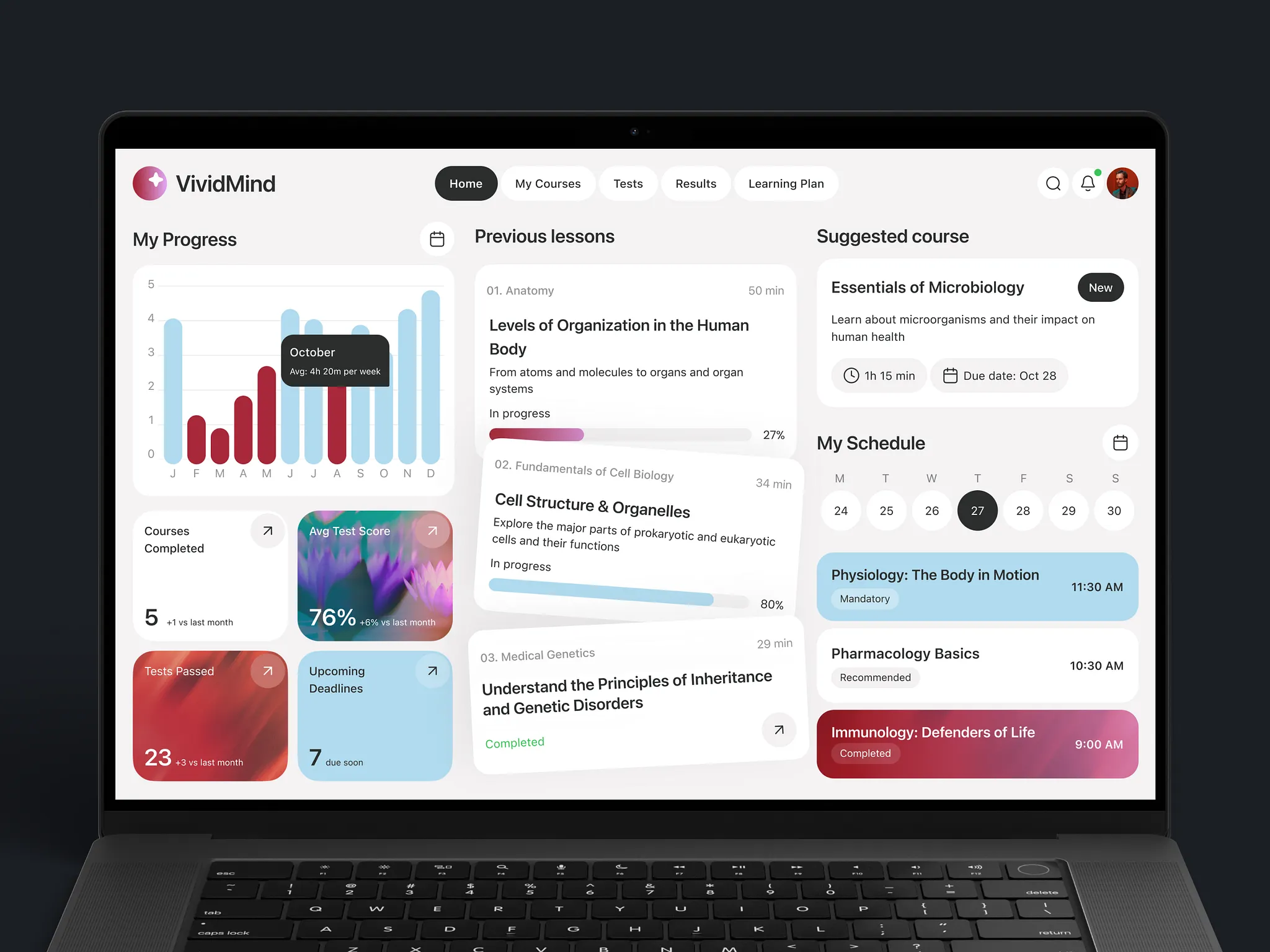 Vivora Utility Expense Analytics